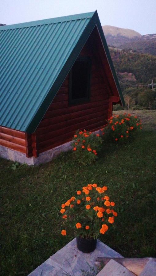 Etno Selo Zuric Villa Mojkovac Dış mekan fotoğraf