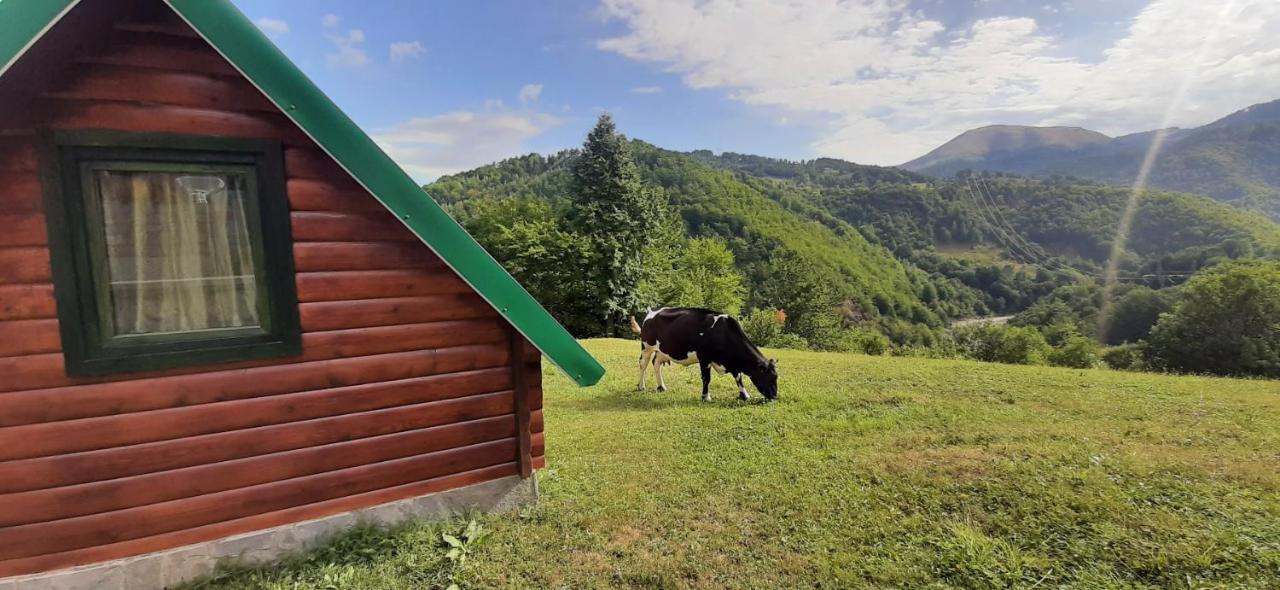Etno Selo Zuric Villa Mojkovac Dış mekan fotoğraf
