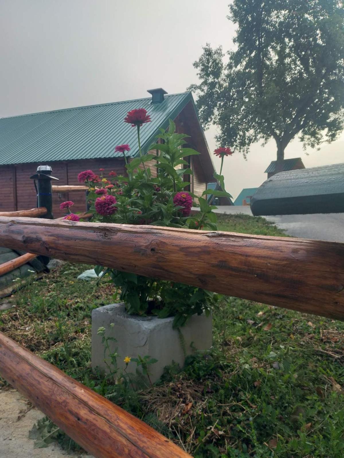 Etno Selo Zuric Villa Mojkovac Oda fotoğraf